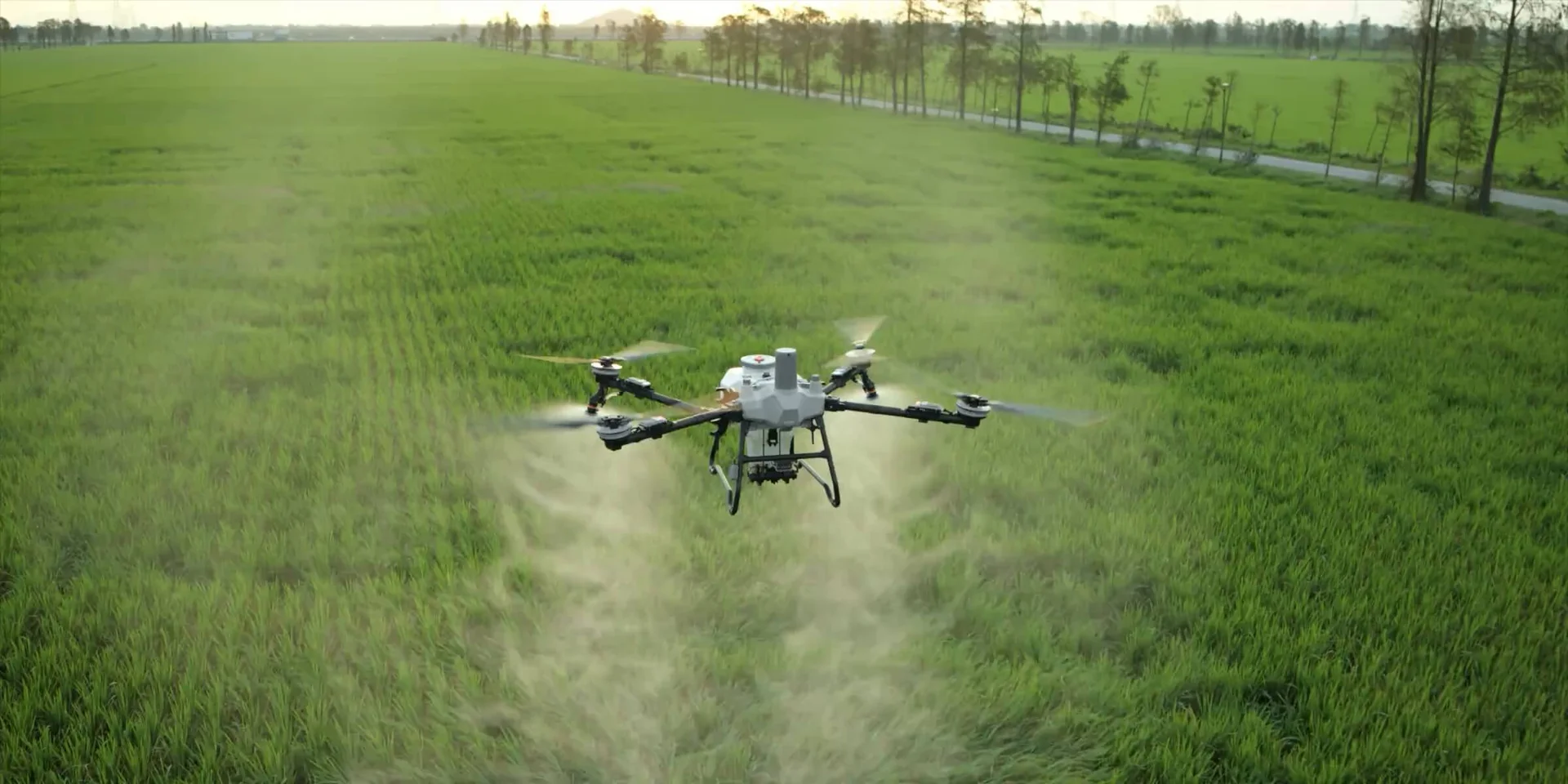 DJI AGRAS T55 — Field spraying