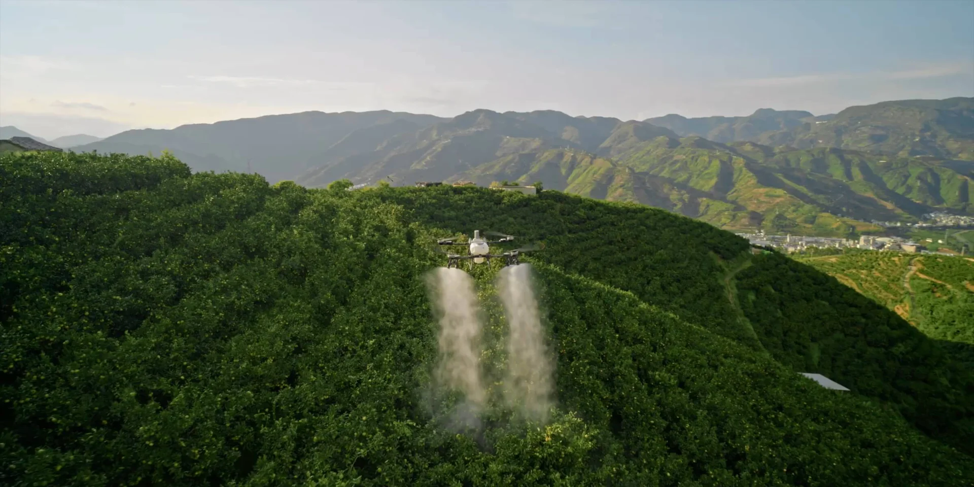 DJI AGRAS T55 — Orchard spraying